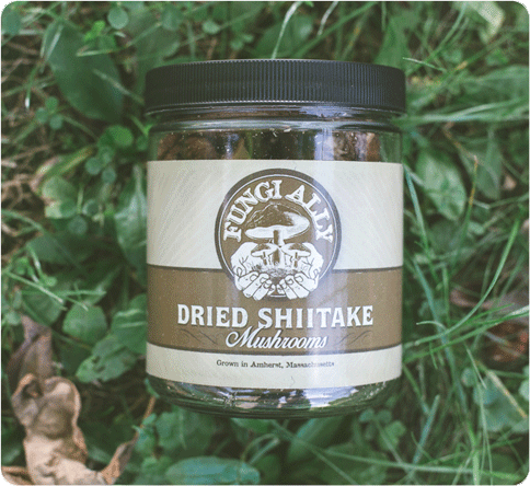 Dried Gourmet Mushrooms: The Benefits of Dried Shiitake Mushrooms