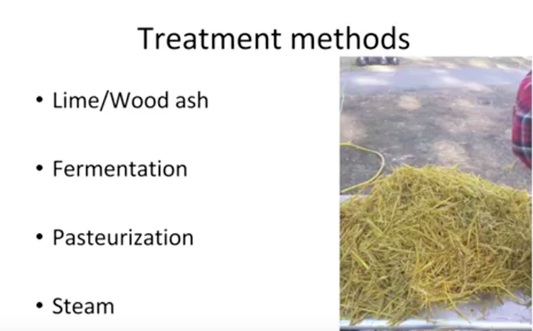 Cultivating Mushrooms on Straw: How to Treat the Straw Right