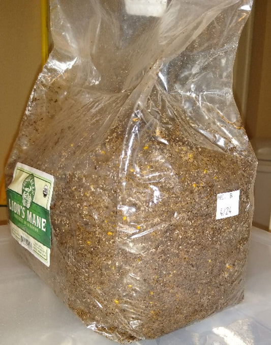 Mushroom Cultivation Notes on Substrate Treatment, Inoculation & Incubation