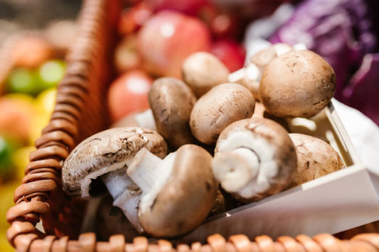 The Incredible, Edible Almond Agaricus Mushroom (Agaricus subrufescens)