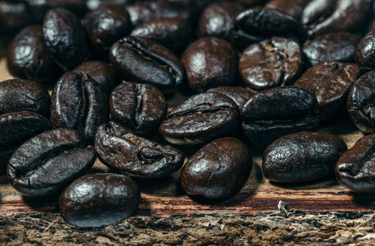 Growing Mushrooms in Coffee Grounds for the Coffee-Loving Households