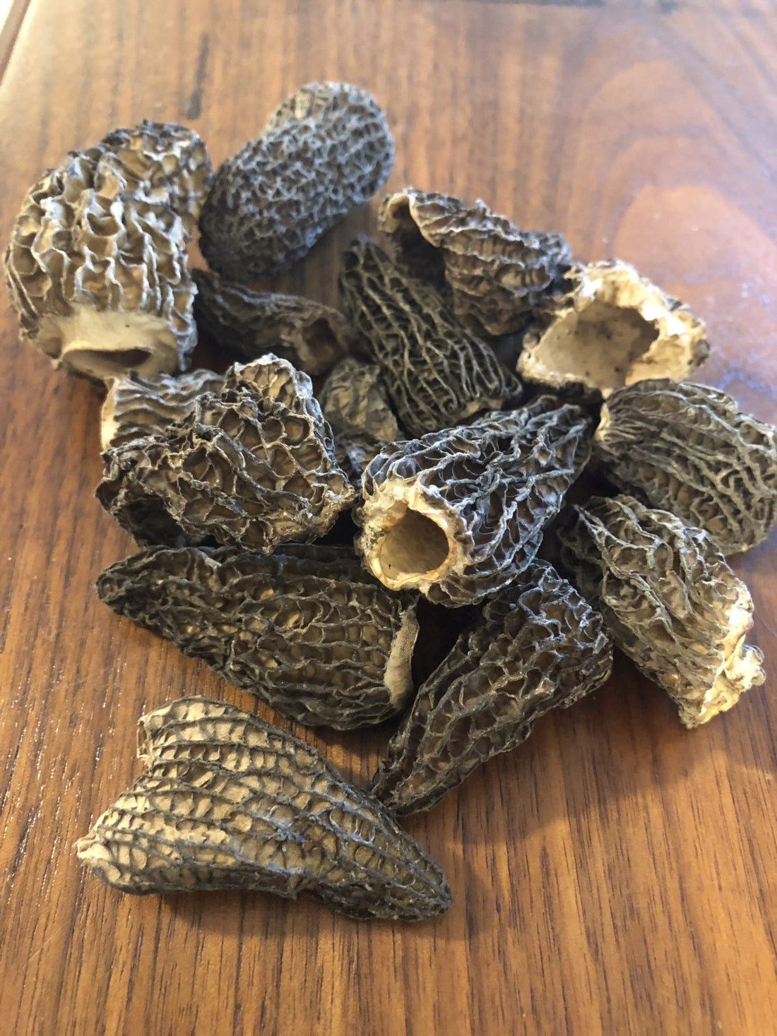 Dried Morels for Sale: A Delicious Edible You Need to Try