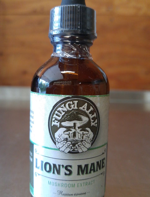 Understanding Lion’s Mane Tincture Benefits for Human Health