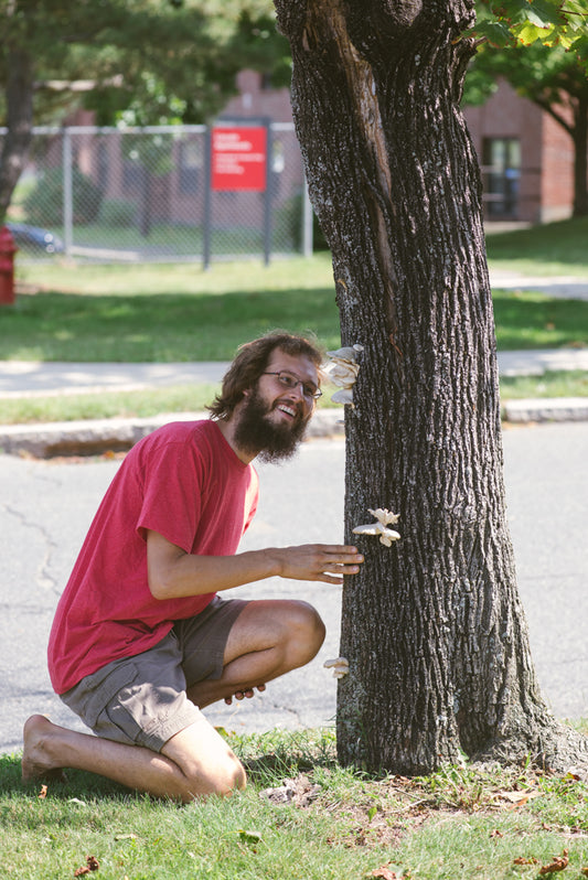 where to find mushrooms