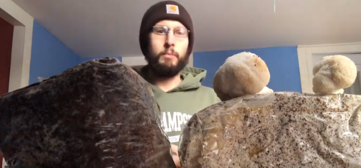 Grow Lion's Mane Mushrooms at Home: 3 Options for You