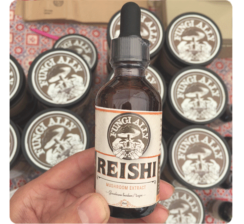 Reishi Tincture & Chaga Tincture: Two Powerful Extractions for You