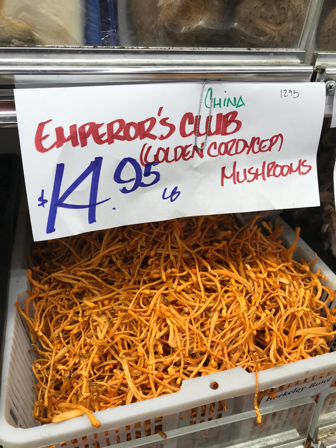 What is Cordyceps? A Mushroom Gaining Popularity in the US