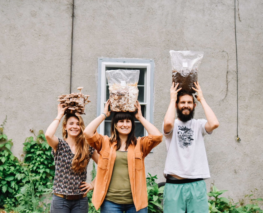 Discover an Array of Gifts for Mushroom Lovers in Our Online Store
