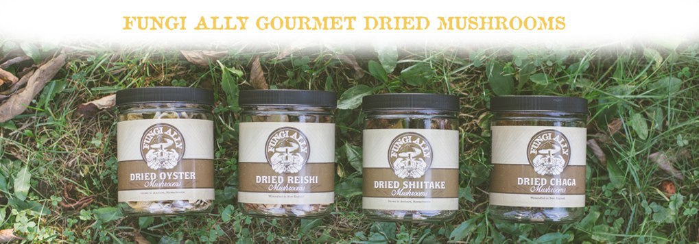 Buy Dried Mushrooms from Fungi Ally are Great for Anytime Use