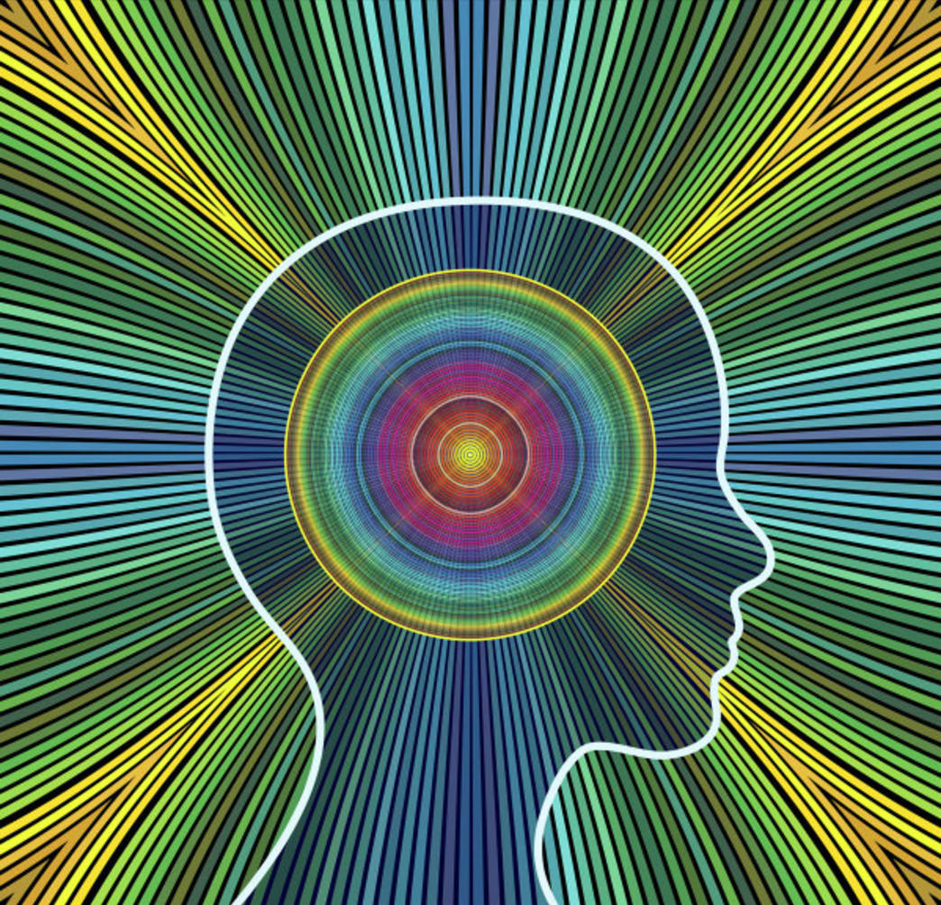 10 Best Herbal Nootropics for Cognitive Function