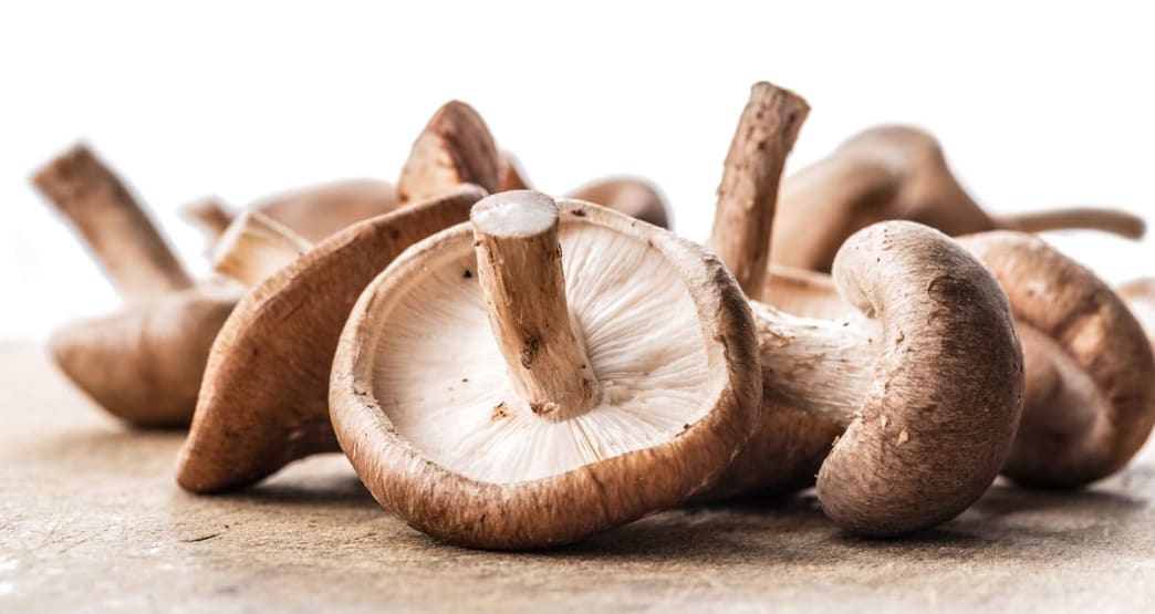 Medicinal Mushroom Health Benefits