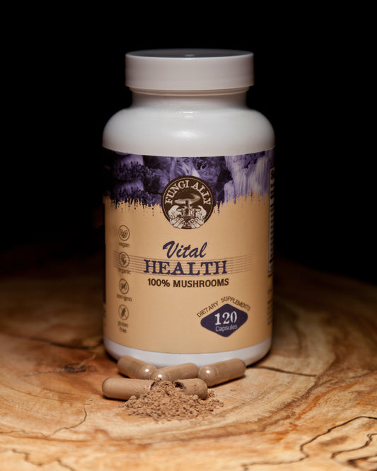 Discover Our Vital Health Mushroom Blend Extract Capsules