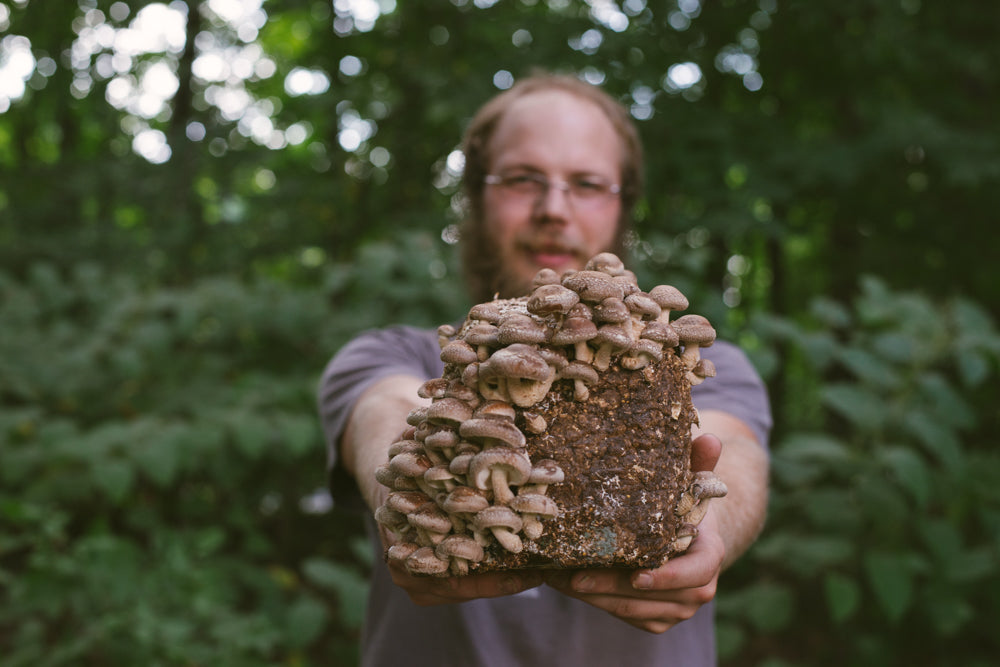 Emerging Mycologist Bundle (45% off)