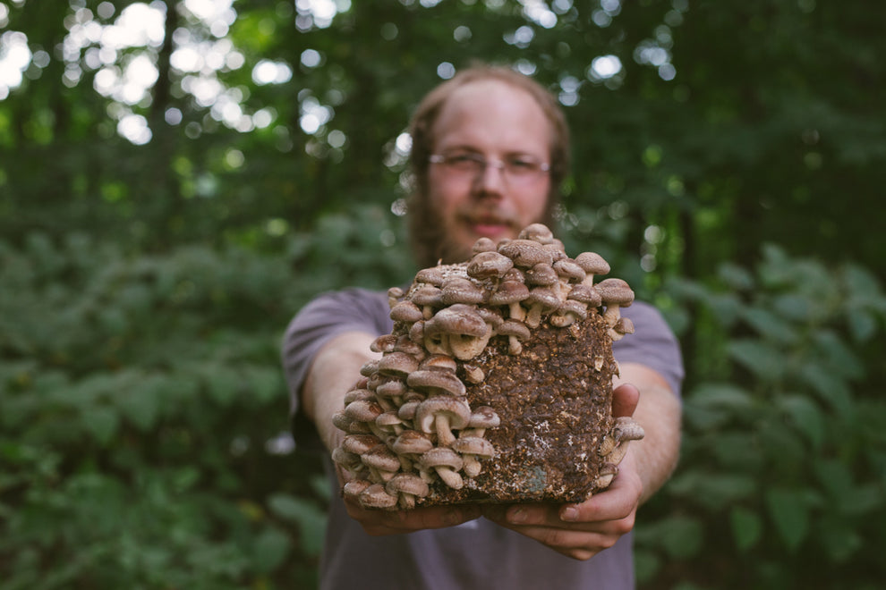 Emerging Mycologist Bundle (45% off) – Fungi Ally