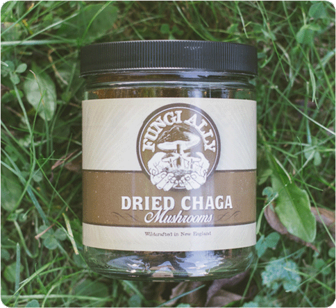 Dried Chaga Mushroom